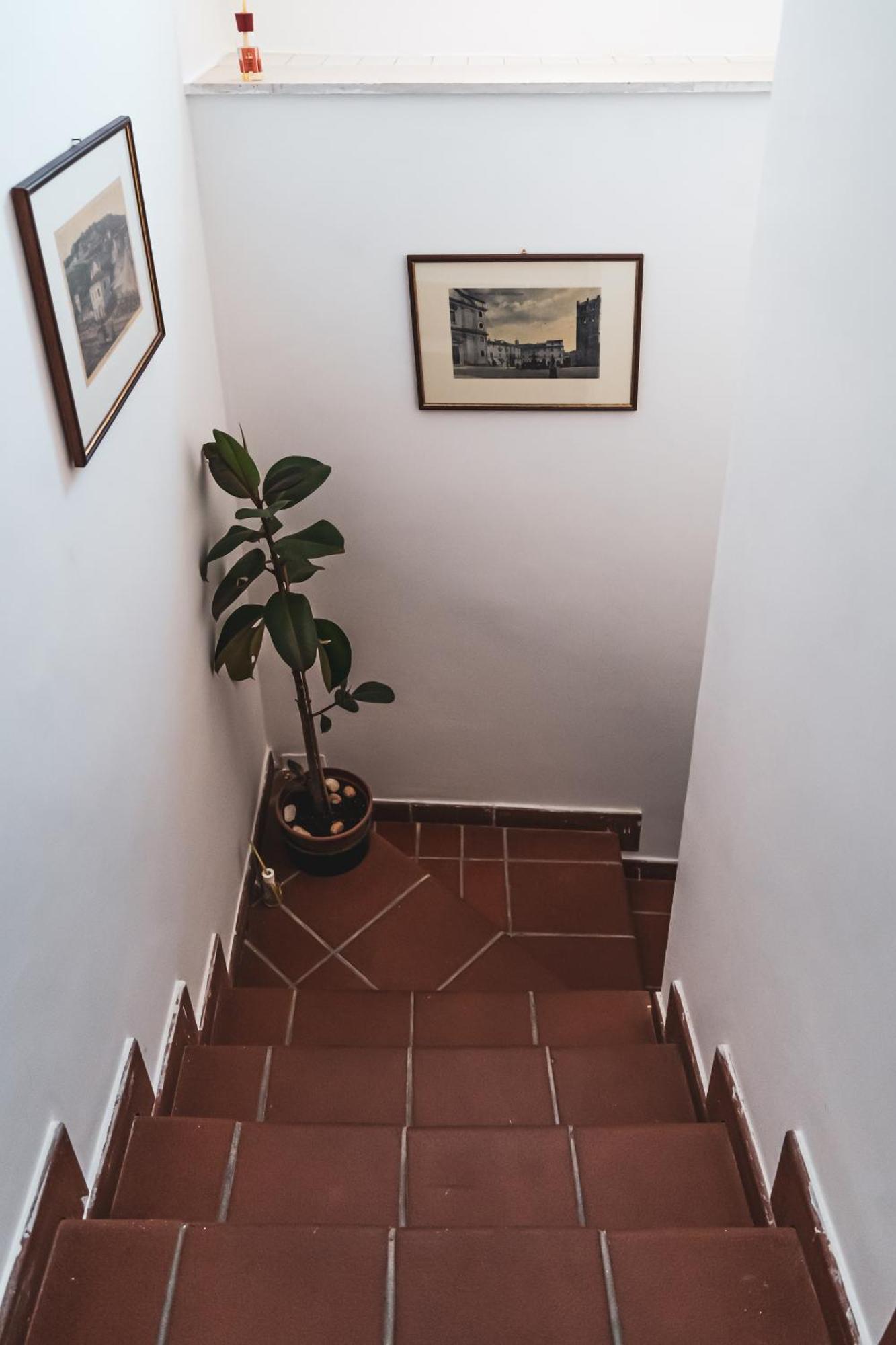 Casina Carina - Intero Appartamento Indipendente Alatri Bagian luar foto